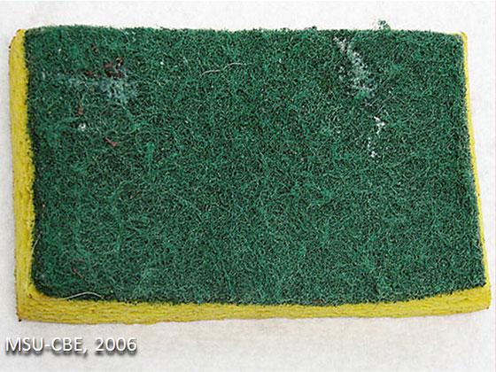 Designed To Fit Most Dog Crates They Also Work Great As A Stand Alone Bed Simple Toss The Whole Dog Mat Into A Washing M Dog Bed Mat Fancy Pet Beds