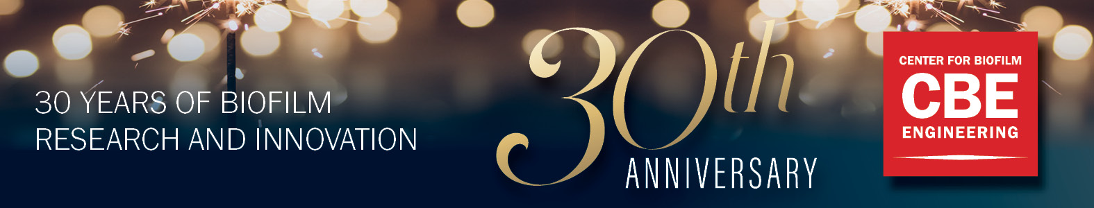 a graphic with the words 30th anniversary