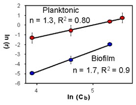 Graph showing response of planktonic and biofilm cells of Pseudomonas aeruginosa to chlorine, (c) 1994, CBE