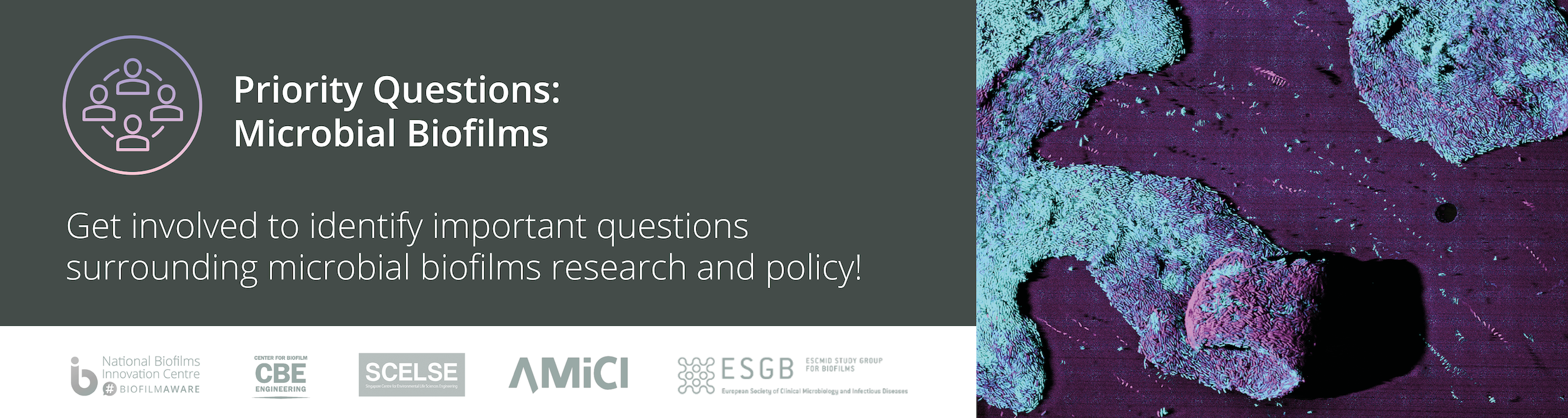 banner with image of e coli and text saying biofilm priority questions