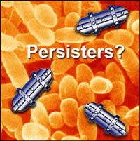 persister persister