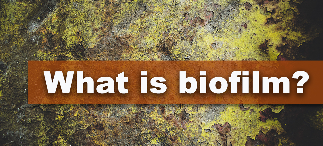 A banner with the words what is biofilm in front of an image of microbes